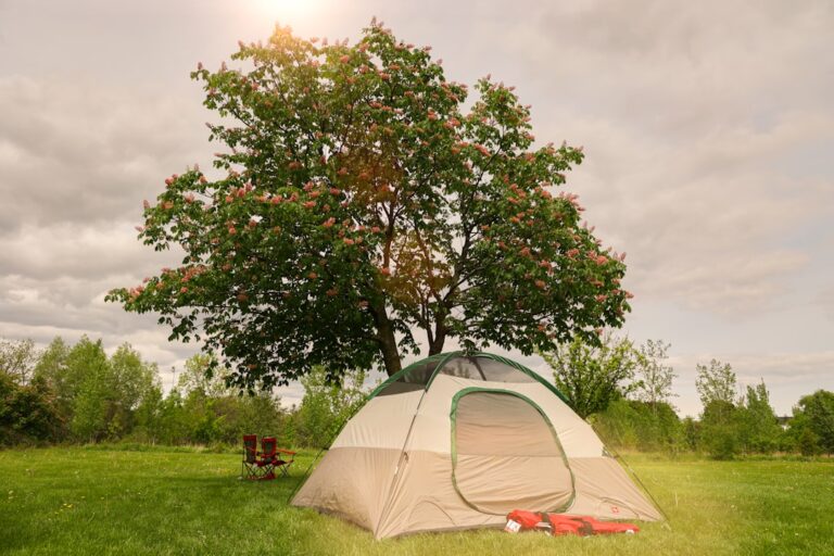 How to Choose the Best Tent for Your Camping Needs